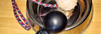 Checkliste: Grundausstattung für den Hund